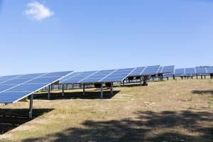 Auf einer großen Wiese sind eine Vielzahl von Photovoltaikelementen in Reihen aufgestellt. 