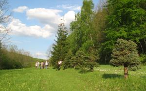 Mitglieder des Naturschutzbeirates inspizieren das Gelände im Sommer.