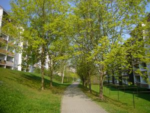 Blühende Bäume säumen einen Weg im Neubaugebiet