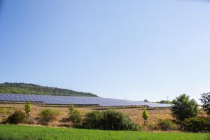 Eine Freiflächen-Photovoltaik-Anlage unter sonnigem Himmel.