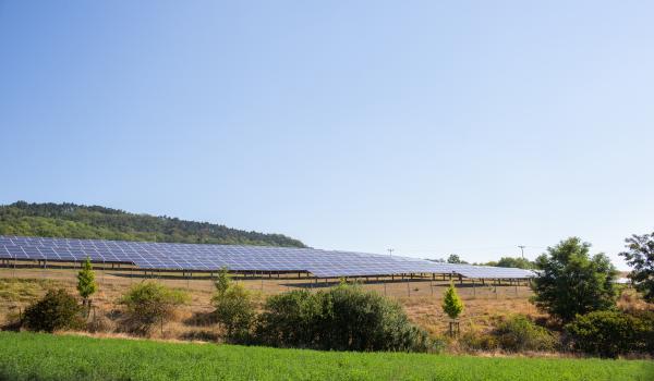 Eine Freiflächen-Photovoltaik-Anlage unter sonnigem Himmel.