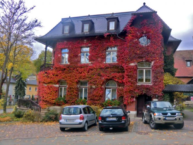 Rotes Weinlaub an der Fassade Erfurter Straße 102 (Papiermühle)