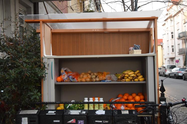 foodsharing-Regal im Damenviertel, bestückt mit Lebensmitteln.