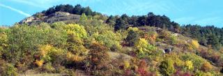Naturschutzgebiet Kernberge-Wöllmisse mit Laubfärbung im Herbst