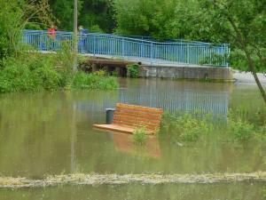 Hochwasser am Saalebogen