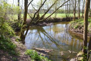 Roda mit Ufergehölz im Frühjahr bei sonnigem Wetter