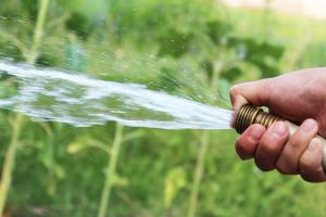 Wasser spritzt aus einem Gartenschlauch, den eine Hand hält