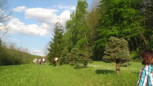 Der Naturschutzbeirat bei einer Vor-Ort-Begehung im Grünen