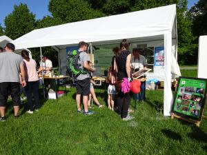 Weißer Pavillon auf einer Wiese mit Besuchern und Plakaten zum Fledermausschutz