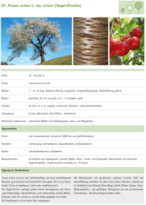 Beispiel  Baumartenliste Nr. 20