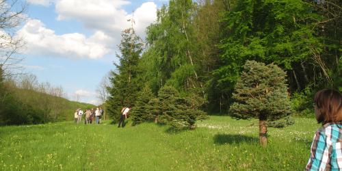 Der Naturschutzbeirat bei einer Vor-Ort-Begehung im Grünen