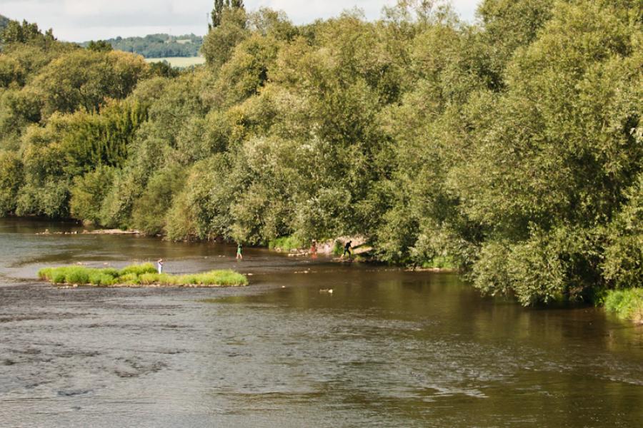 Blick von der Camsdorfer Brücke auf die Saale