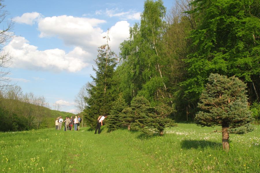 Der Naturschutzbeirat bei einer Vor-Ort-Begehung im Grünen